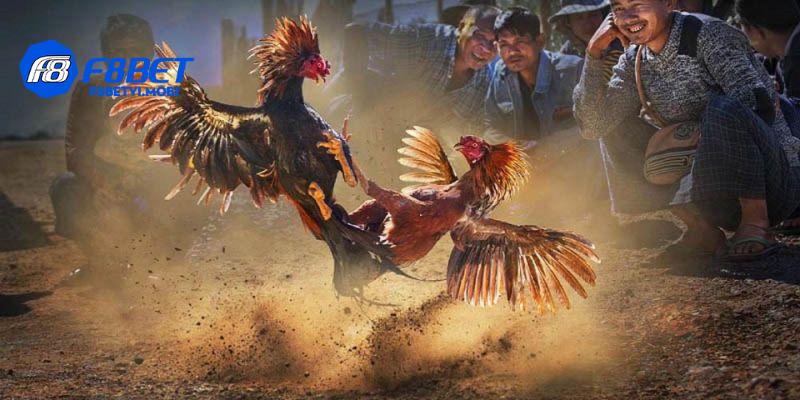 Sự kết hợp hoàn hảo giữa truyền thống và kịch tính, thu hút đam mê
